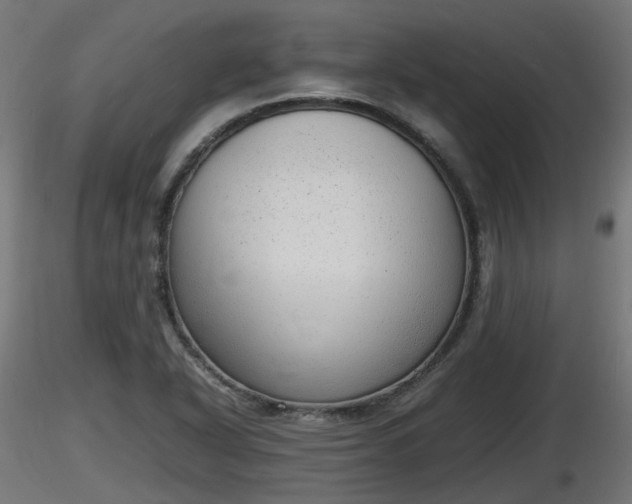 X0000116881318200912291234