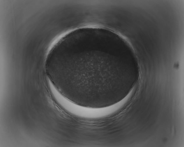 X0000116881319200912291234