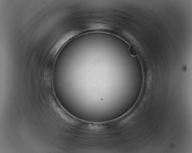 X0000116881321200912291234