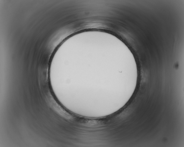 X0000116881322200912291234