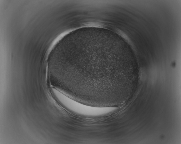 X0000116881323200912291234
