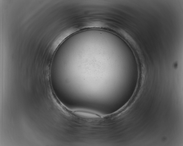 X0000116881329200912291234