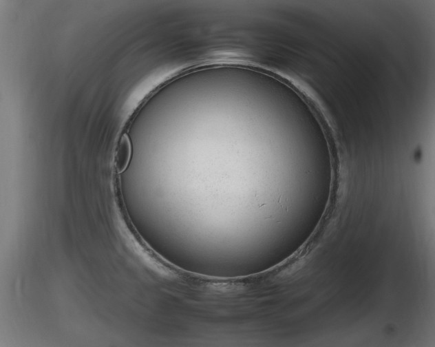 X0000116881333200912291234