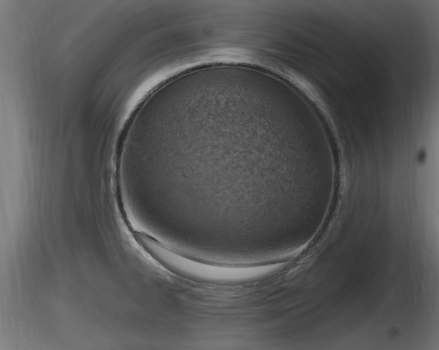X0000116881334200912291234