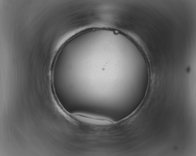 X0000116881335200912291234