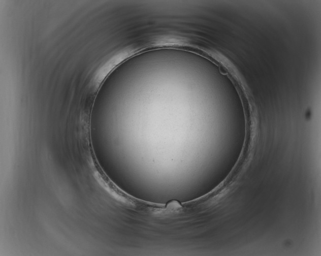 X0000116881337200912291234
