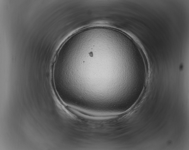 X0000116881341200912291234