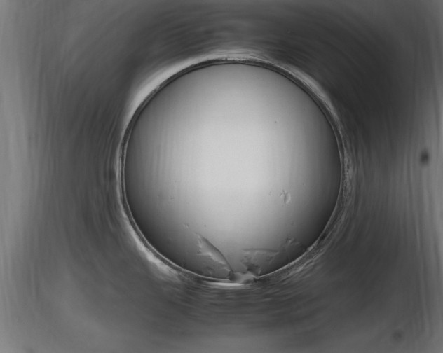 X0000116881343200912291234