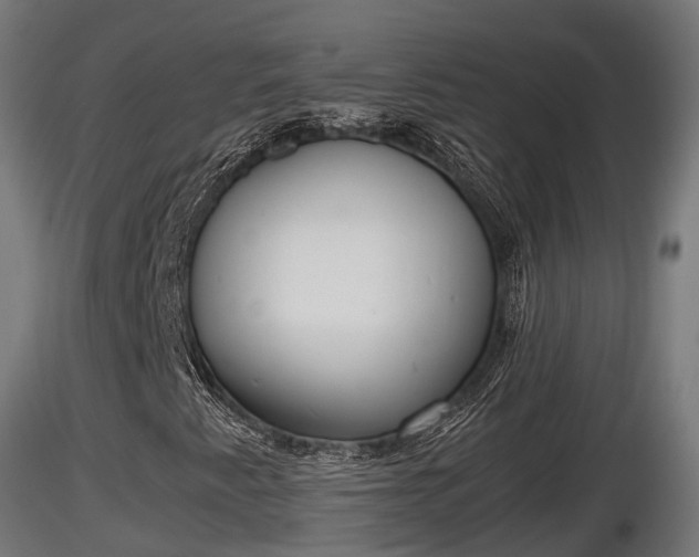 X0000116881345200912291234