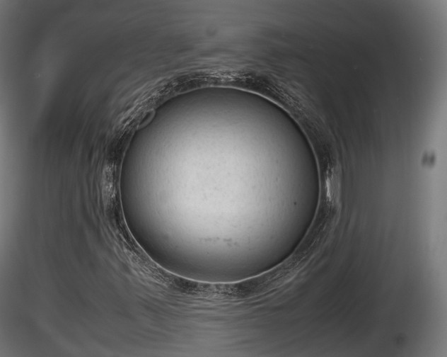 X0000116881347200912291233