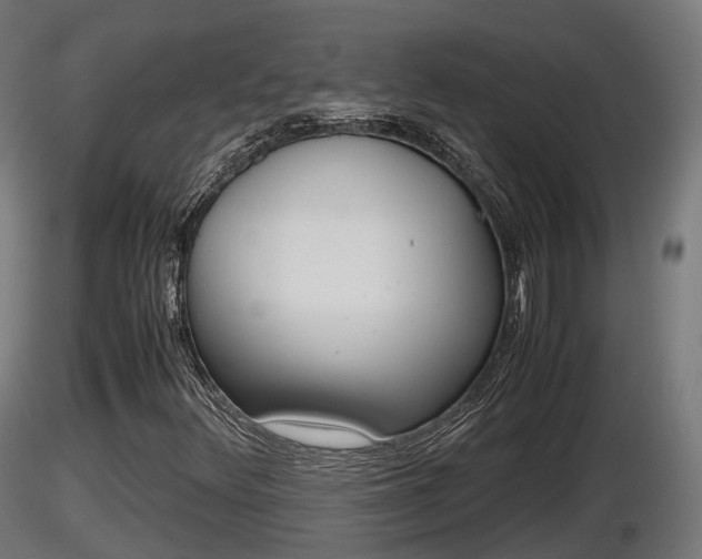 X0000116881348200912291233