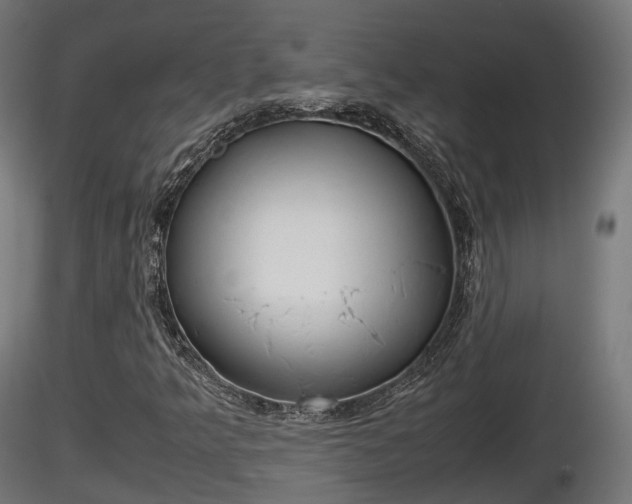 X0000116881349200912291233
