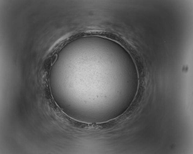 X0000116881351200912291233