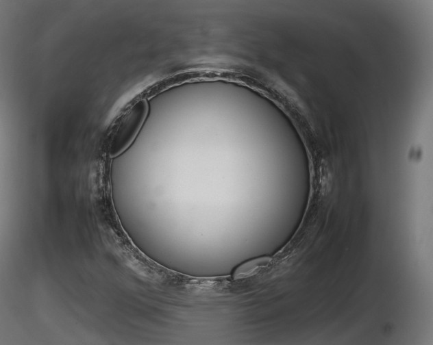 X0000116881352200912291233