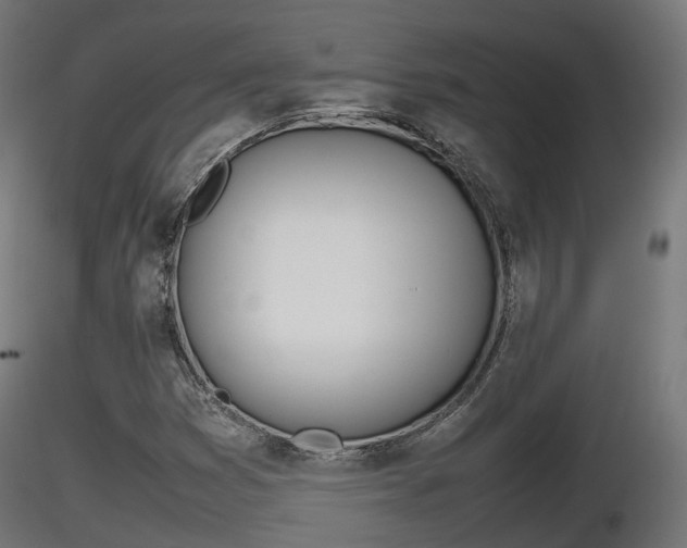 X0000116881353200912291233