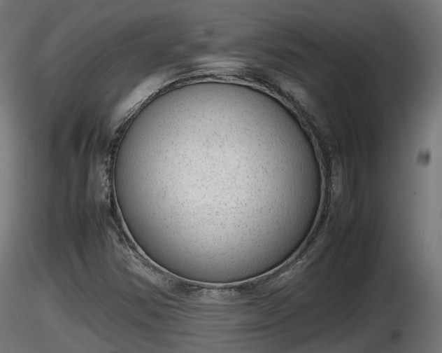 X0000116881354200912291233