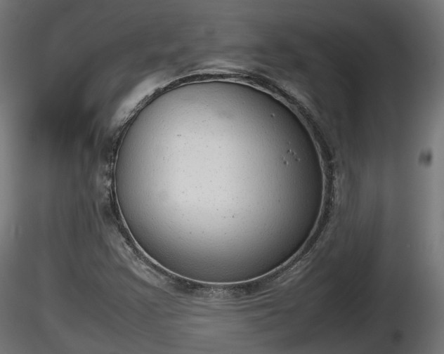 X0000116881355200912291233