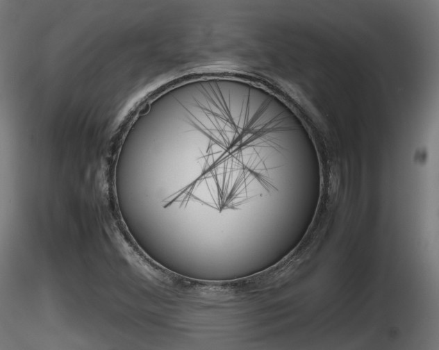 X0000116881356200912291233
