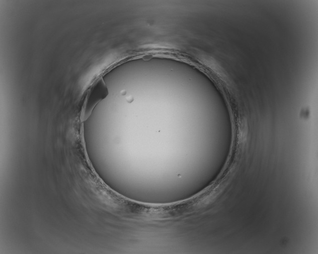 X0000116881357200912291233