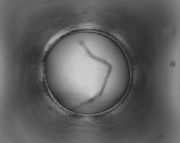 X0000116881358200912291233
