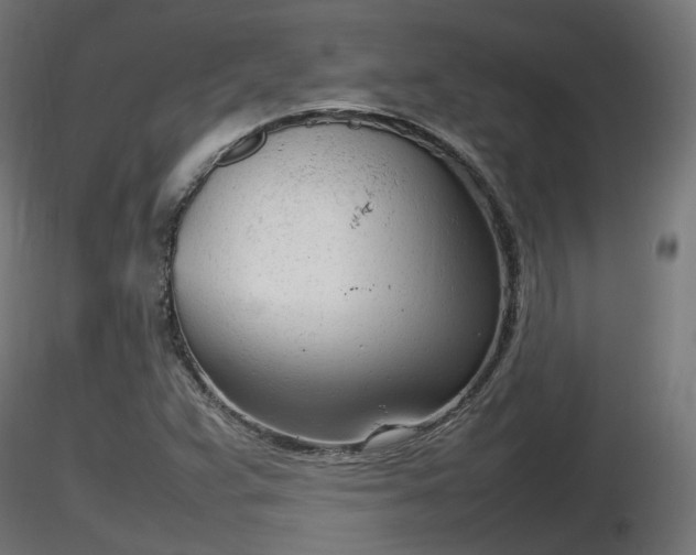 X0000116881359200912291233