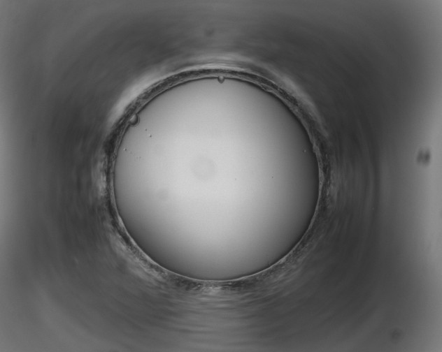 X0000116881360200912291233