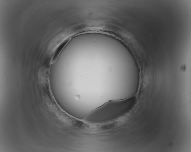 X0000116881361200912291233