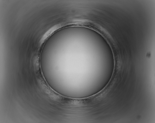 X0000116881362200912291233