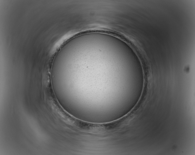 X0000116881363200912291233
