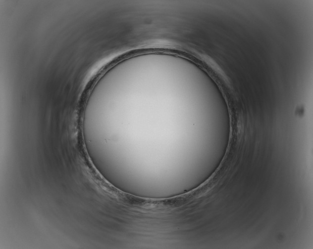 X0000116881364200912291233