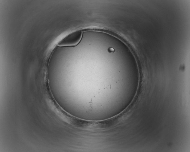 X0000116881367200912291233