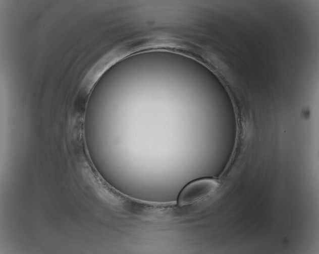 X0000116881369200912291233