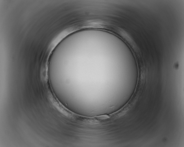 X0000116881370200912291233