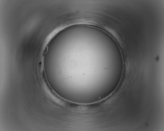 X0000116881371200912291233