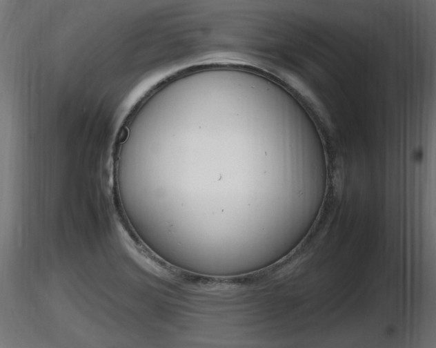X0000116881372200912291233