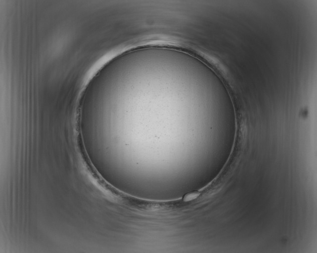 X0000116881375200912291233