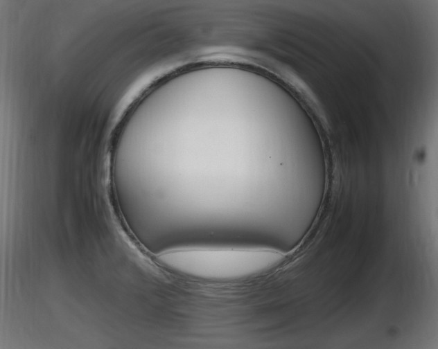 X0000116881376200912291233