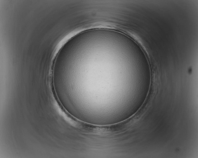 X0000116881379200912291233