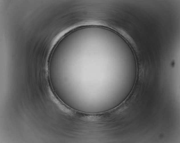 X0000116881380200912291233
