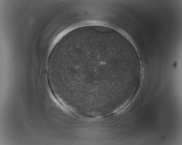 X0000116881381200912291233