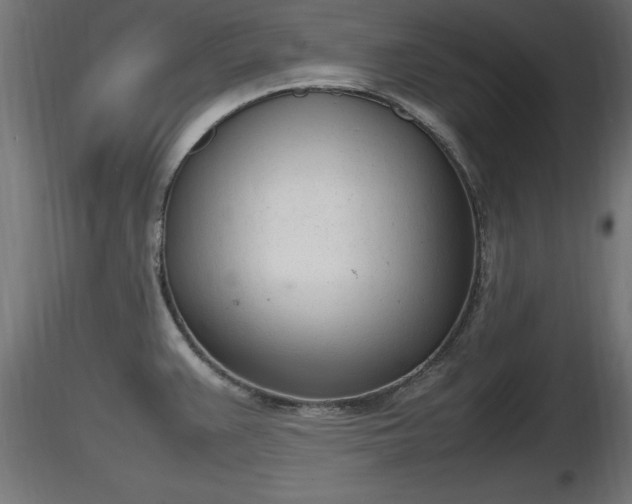 X0000116881383200912291233