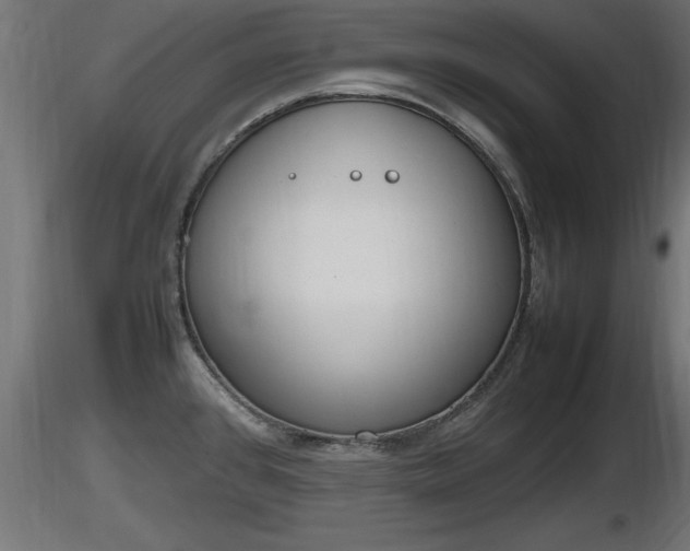X0000116881384200912291233