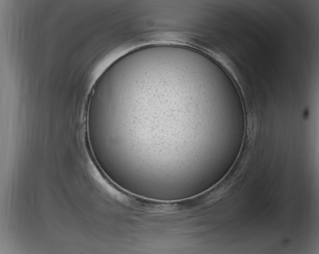 X0000116881387200912291233