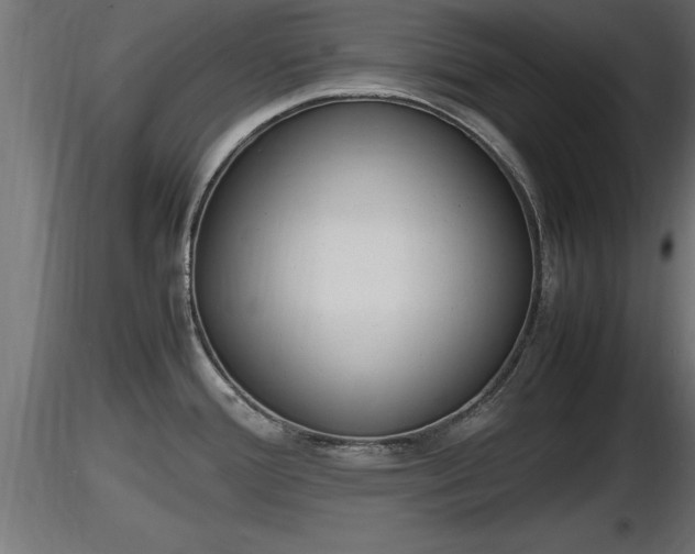 X0000116881388200912291233