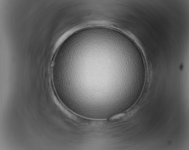 X0000116881389200912291233