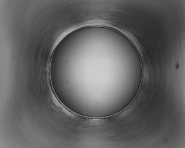 X0000116881390200912291233