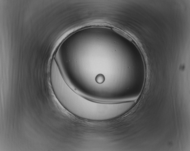 X0000116881392200912291233