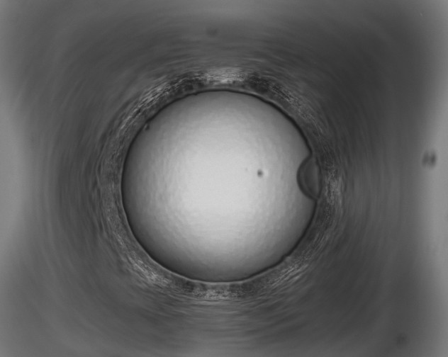 X0000116881393200912291232