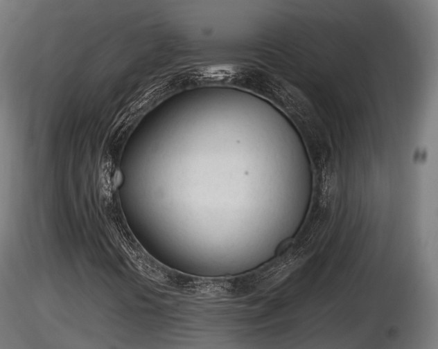 X0000116881394200912291232