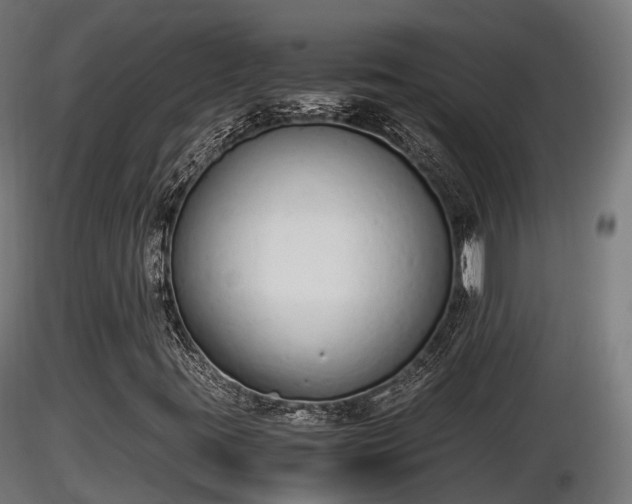 X0000116881395200912291232